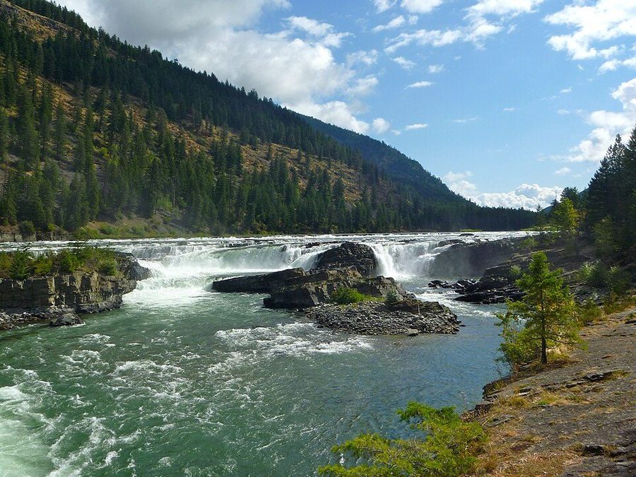 Kootenai Falls in Montana — the Kootenai River dropping in wide white steps through a rocky gorge lined with conifers.