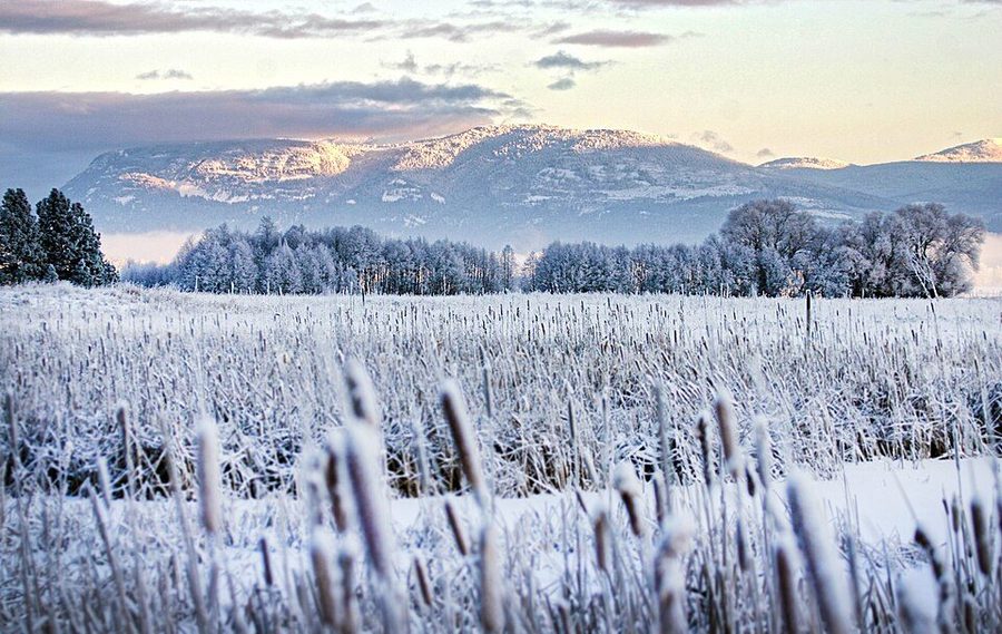 Winter at the Kootenai National Wildlife Refuge near Bonners Ferry — frozen wetland with bare trees and mountains behind.