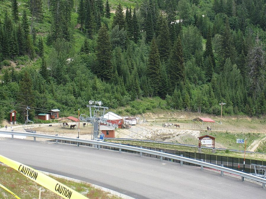 Schweitzer Mountain above Sandpoint, Idaho — open ski runs cut through conifer forest with the valley below.