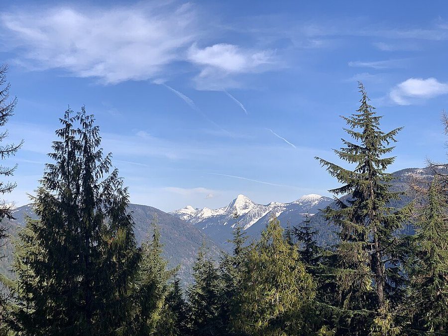 The Selkirk Mountains — layered forested ridges with snow-capped peaks beyond.