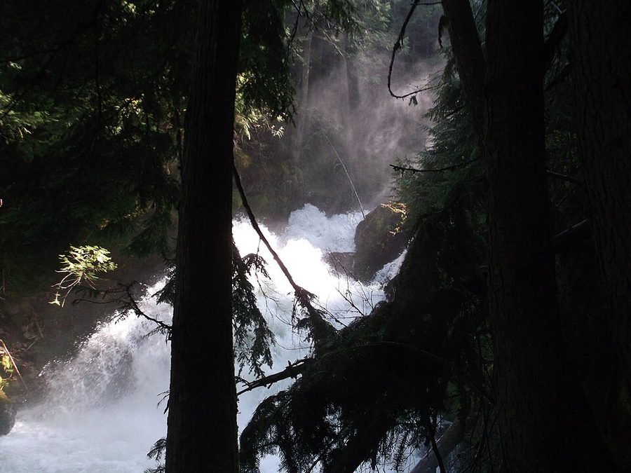 Snow Creek Lower Falls in Boundary County, Idaho — a cascade dropping through dense conifer forest.
