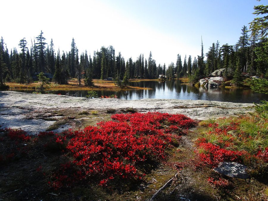 Lower Two Mouth Lake in the Kaniksu National Forest, Idaho — still water ringed by conifers.
