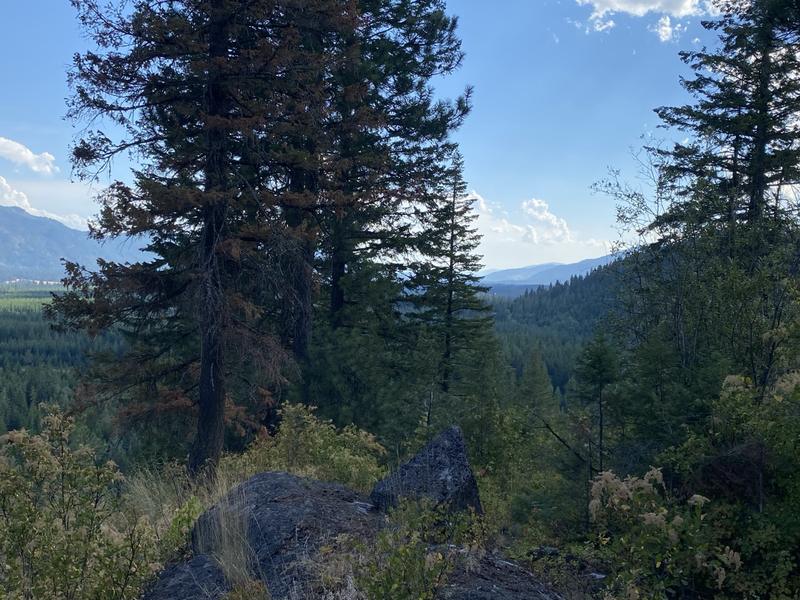 The mountain overlook from the ridge trail at Round Mountain Retreat, forested ridges receding into the distance.