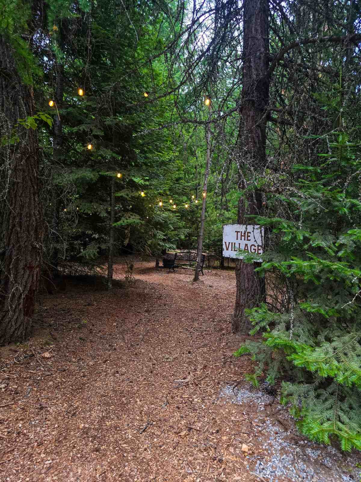 Path to The Village with string lights