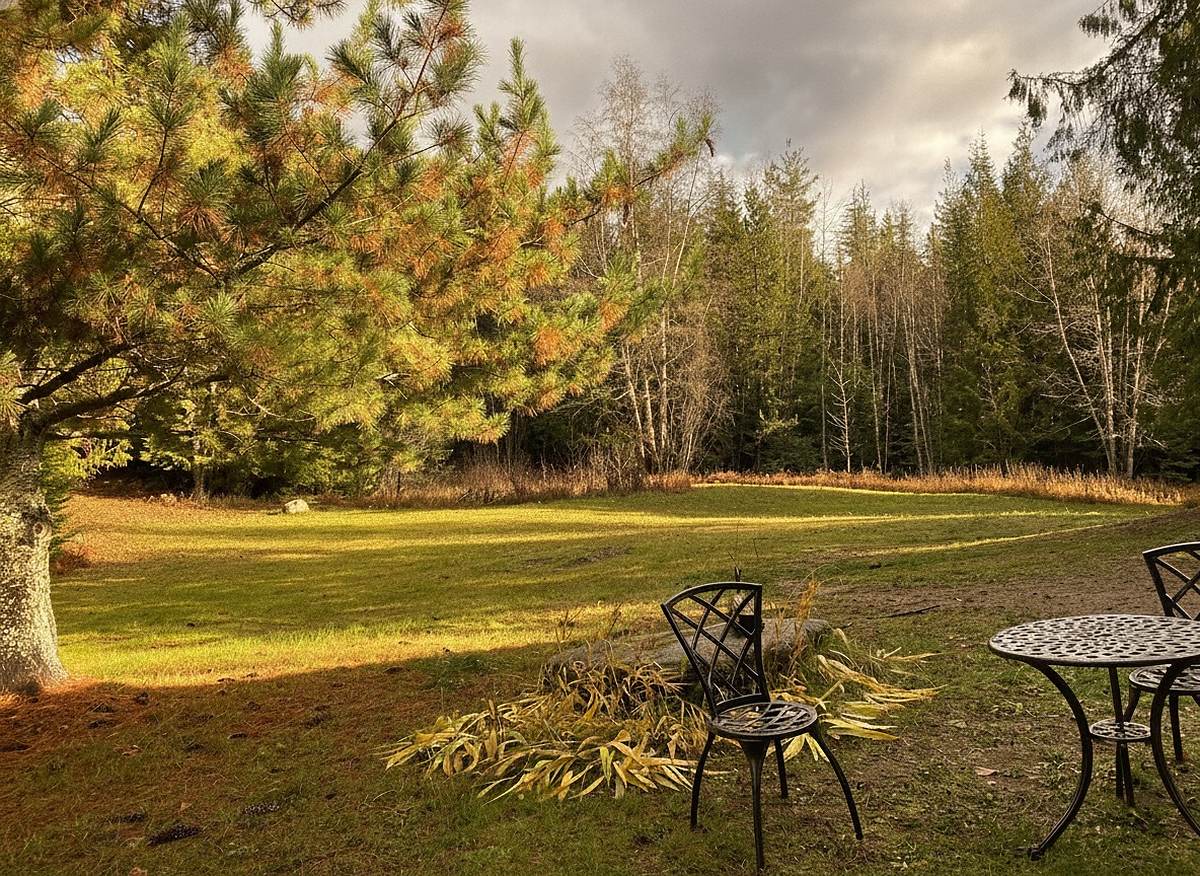 The meadow at Round Mountain Retreat in autumn golden hour, low sun raking across the grass with café seating under a big pine.