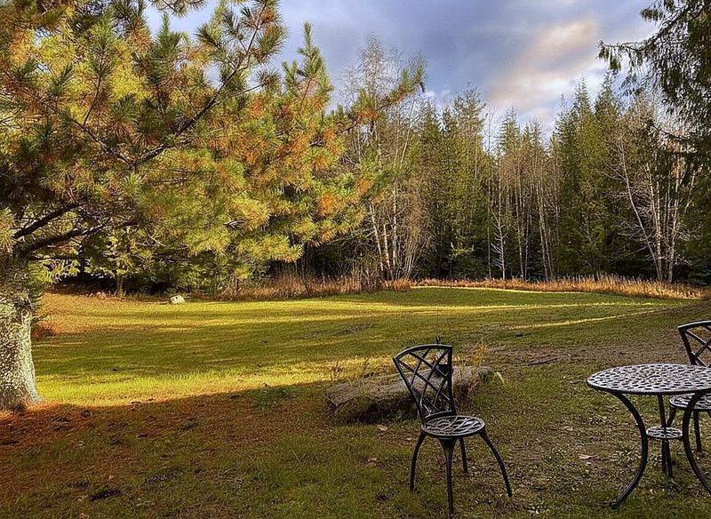 The meadow at Round Mountain Retreat at golden hour, low sun raking across the mown grass with café tables set out under a tall pine.